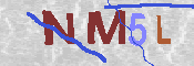 CAPTCHA Kép